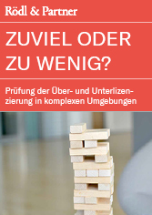 Prüfung Über und Unterlizensierung in komplexen Umgebungen PDF