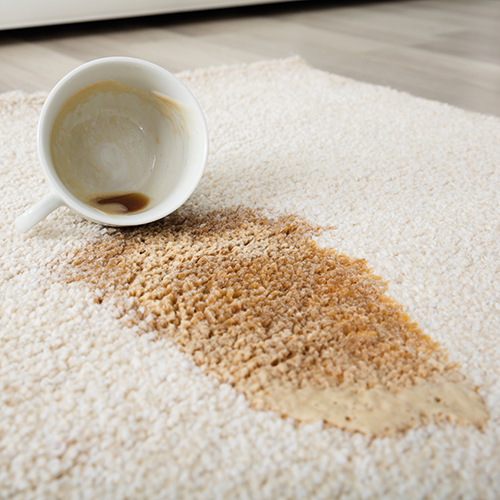 umgeworfene Kaffeetasse auf weißem Teppich