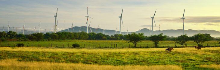 Banner Windkraftanlage und Landschaft