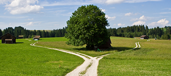 Ausblick auf 2022