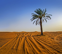 Afrika