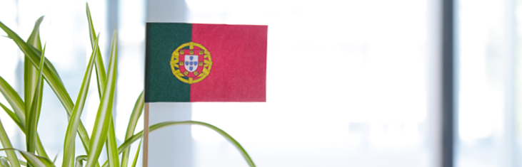 Erfolgreich Investieren In Portugal Rodl Partner