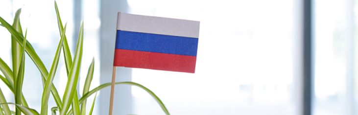 Deutsche bevölkerung in russland