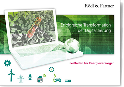 banner studie erfolgreiche transformation der digitalisierung