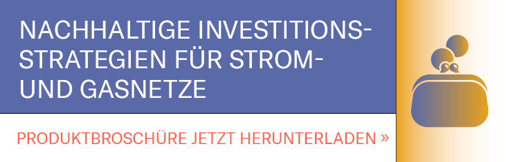 Nachhaltige Investitionsstrategien fuer EVU