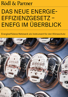 Energieeffizienzcheck Thumb