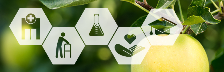Banner-Logos-Apfel